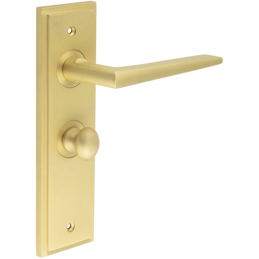 Luxury Satin Brass Door Handle with Backplate Bathroom Solid Brass Interior Handle