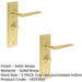 PACK Luxury Satin Brass Door Handle with Backplate Bathroom Solid Brass Interior Handle (1)-1