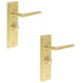 PACK Luxury Satin Brass Door Handle with Backplate Bathroom Solid Brass Interior Handle (1)