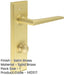 Elegant Satin Brass Bathroom Door Handle with Backplate Turn Release Solid Brass Interior Handle-1