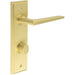 Luxury Satin Brass Door Handle with Turn Release Bathrooms Solid Brass Interior Handle