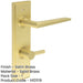 Elegant Satin Brass Bathroom Door Handle with Backplate Turn Release Mechanism Solid Brass Interior Handle-1