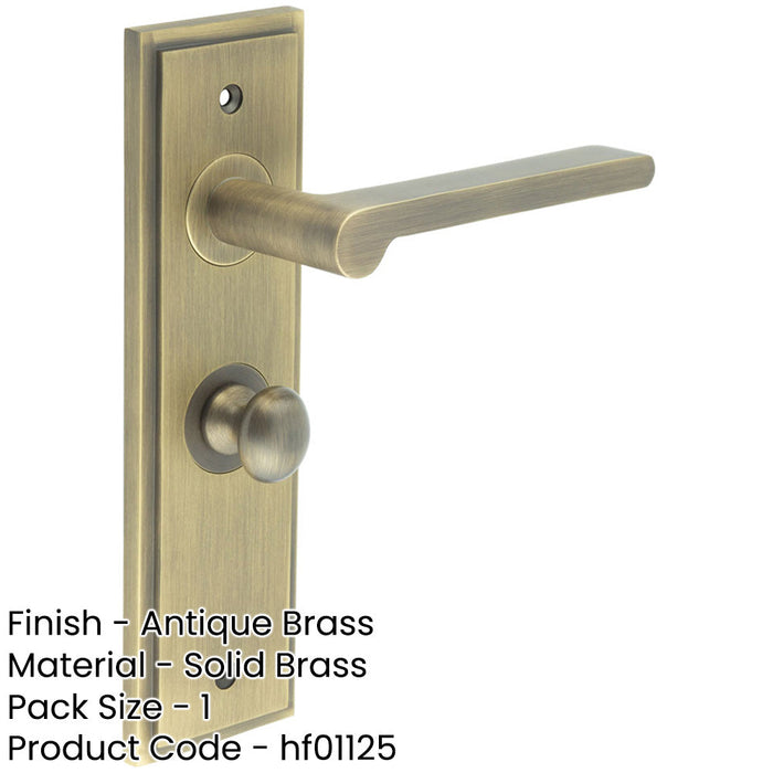 Antique Brass Door Handle with Bathroom Backplate Turn Release Solid Brass Interior Handle-1