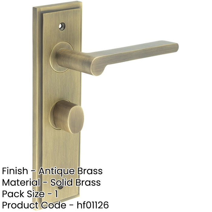 Antique Brass Bathroom Door Handle with Backplate Turn Release Solid Brass Interior Handle (1)-1