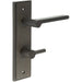 Elegant Dark Bronze Door Handle with Backplate Bathrooms Solid Brass Interior Handle (1)