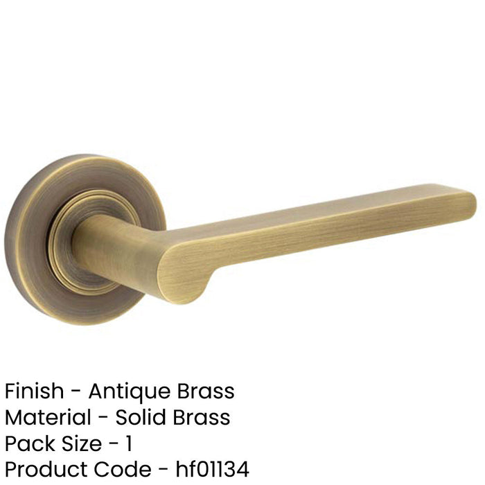 Antique Brass Door Handle with Plain Rose Design Classic Elegance Solid Brass Interior Handle-1
