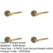 PACK Antique Brass Door Handle with Plain Rose Design Classic Elegance Solid Brass Interior Handle-1