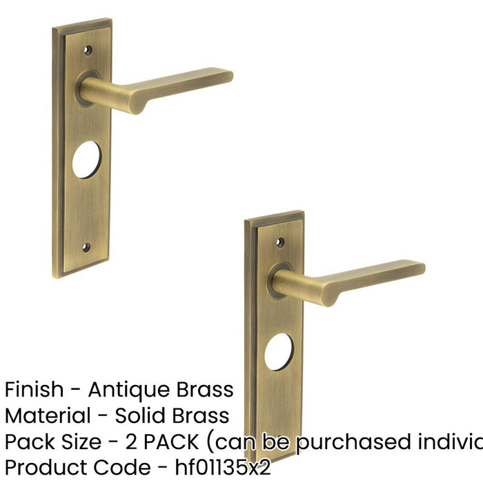 PACK Antique Brass Door Handle with Backplate Bathroom Solid Brass Interior Handle (2)-1