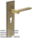 Antique Brass Door Handle with Euro Backplate Elegant Durable Solid Brass Interior Handle-1