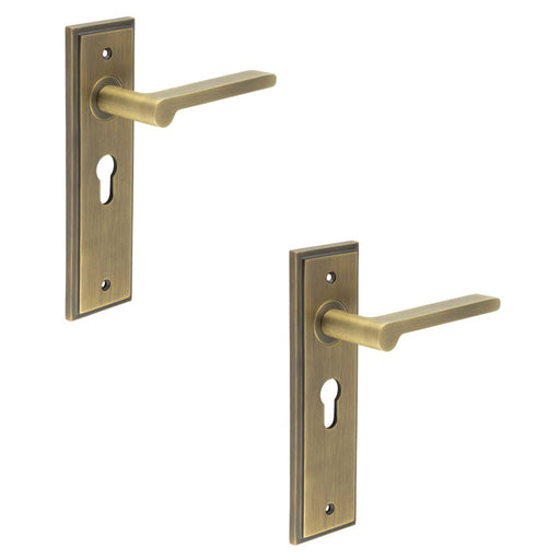 PACK Antique Brass Door Handle with Euro Backplate Elegant Durable Solid Brass Interior Handle (1)