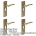 PACK Antique Brass Door Handle with Euro Backplate Elegant Durable Solid Brass Interior Handle-1