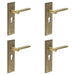 PACK Antique Brass Door Handle with Euro Backplate Elegant Durable Solid Brass Interior Handle