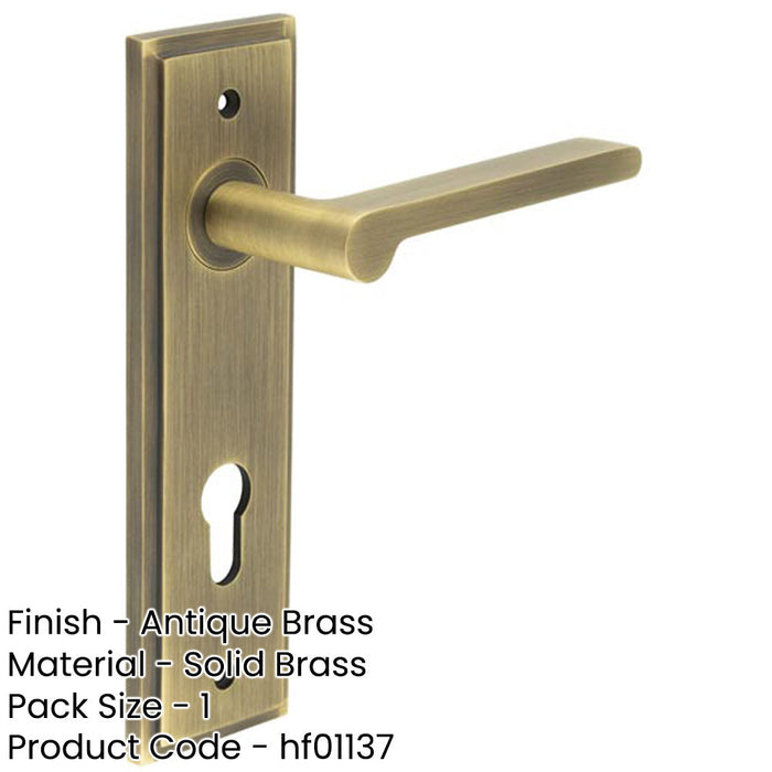 Elegant Antique Brass Door Handle with Euro Backplate Solid Brass Interior Handle (1)-1