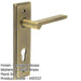 Elegant Antique Brass Door Handle with Euro Backplate Solid Brass Interior Handle (1)-1