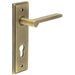 Elegant Antique Brass Door Handle with Euro Backplate Solid Brass Interior Handle (1)