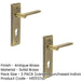 PACK Elegant Antique Brass Door Handle with Euro Backplate Solid Brass Interior Handle (5)-1