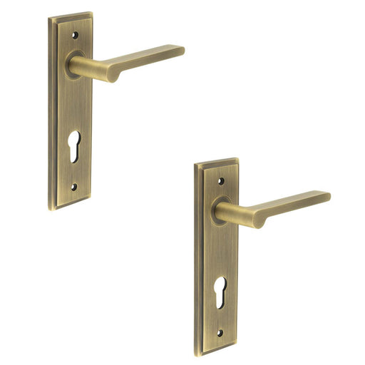 PACK Elegant Antique Brass Door Handle with Euro Backplate Solid Brass Interior Handle (5)