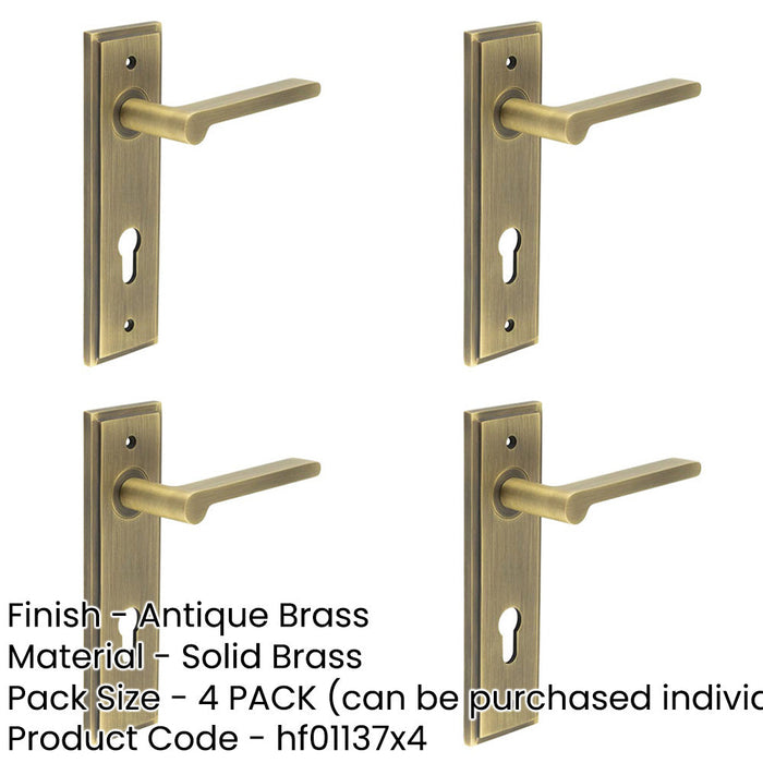 PACK Elegant Antique Brass Door Handle with Euro Backplate Solid Brass Interior Handle (1)-1