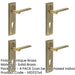 PACK Elegant Antique Brass Door Handle with Euro Backplate Solid Brass Interior Handle (1)-1