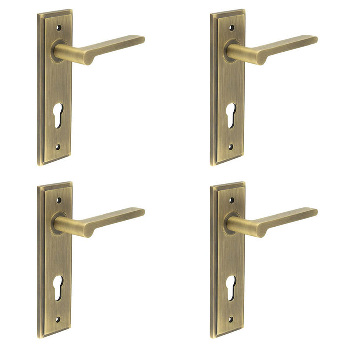 PACK Elegant Antique Brass Door Handle with Euro Backplate Solid Brass Interior Handle (1)