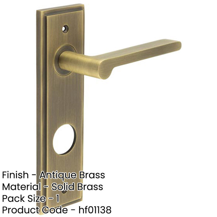 Antique Brass Door Handle with Backplate Bathrooms Elegant Design Solid Brass Interior Handle-1