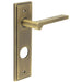 Antique Brass Door Handle with Backplate Bathrooms Elegant Design Solid Brass Interior Handle