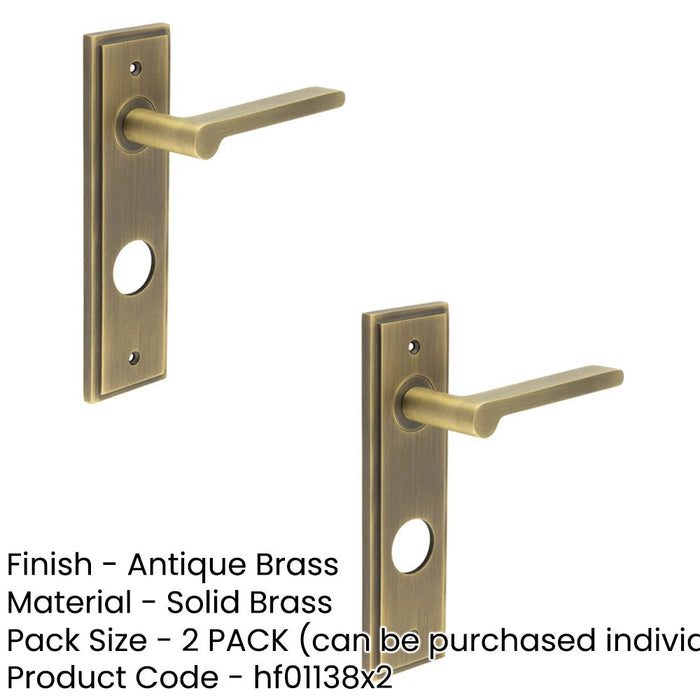 PACK Antique Brass Door Handle with Backplate Bathrooms Elegant Design Solid Brass Interior Handle (1)-1