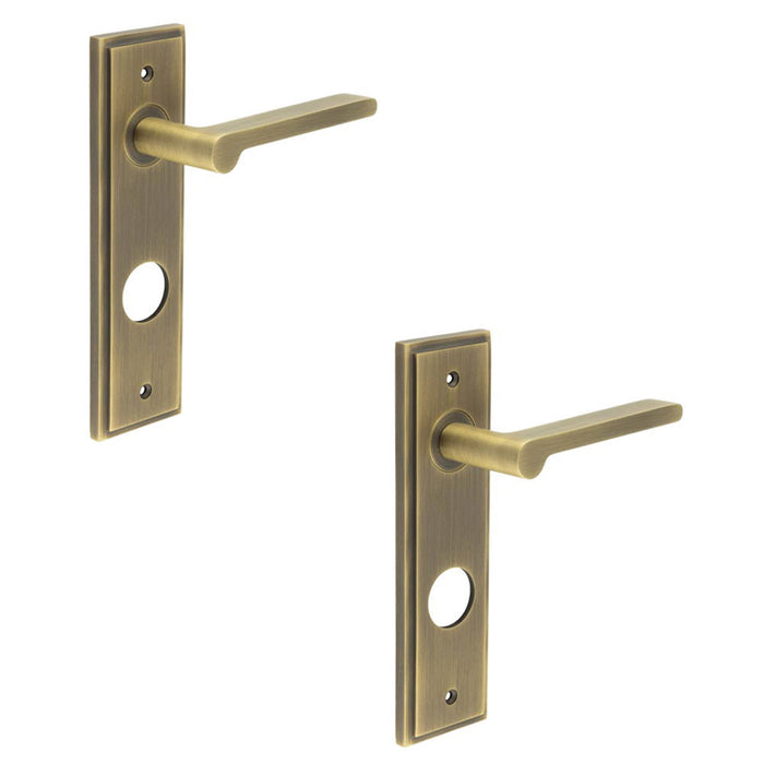 PACK Antique Brass Door Handle with Backplate Bathrooms Elegant Design Solid Brass Interior Handle (1)