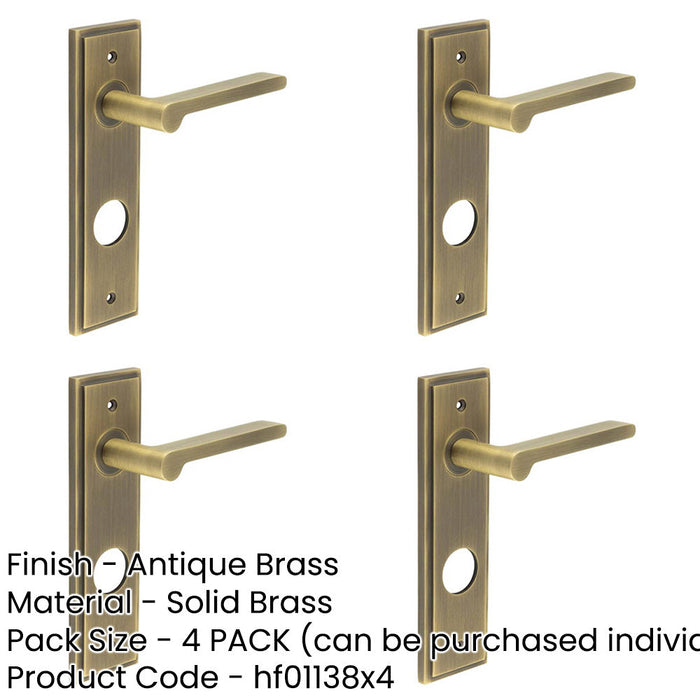 PACK Antique Brass Door Handle with Backplate Bathrooms Elegant Design Solid Brass Interior Handle-1