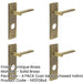 PACK Antique Brass Door Handle with Backplate Bathrooms Elegant Design Solid Brass Interior Handle-1