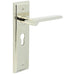 Elegant Polished Nickel Door Handle with Euro Backplate Solid Brass Interior Handle (1)