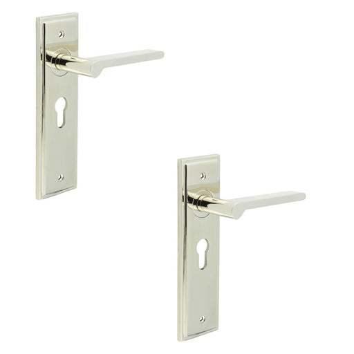 PACK Elegant Polished Nickel Door Handle with Euro Backplate Solid Brass Interior Handle (7)