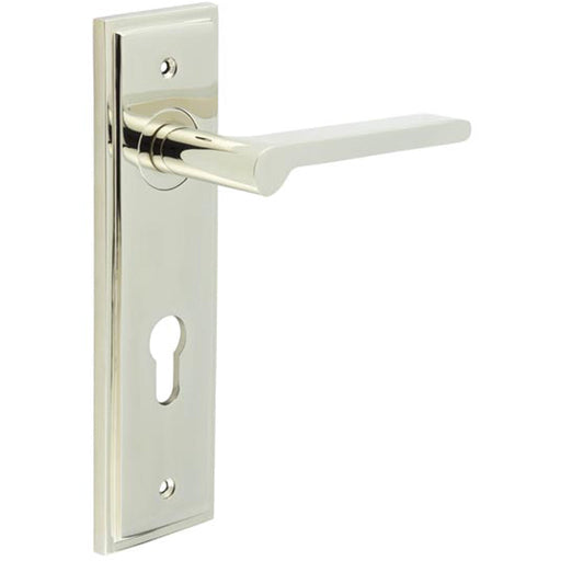 Elegant Door Handle with Euro Backplate Polished Nickel Finish Solid Brass Interior Handle