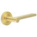 Elegant Satin Brass Door Handle with Plain Rose Design Solid Brass Interior Handle