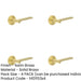 PACK Elegant Satin Brass Door Handle with Plain Rose Design Solid Brass Interior Handle-1