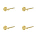 PACK Elegant Satin Brass Door Handle with Plain Rose Design Solid Brass Interior Handle