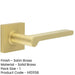 Stylish Square Plain Rose Door Handle Satin Brass Finish Solid Brass Interior Handle-1
