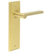 Elegant Satin Brass Door Handle Latch Backplate Modern Interiors Solid Brass Interior Handle