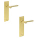 PACK Elegant Satin Brass Door Handle Latch Backplate Modern Interiors Solid Brass Interior Handle (1)