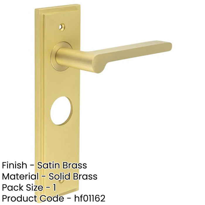 Satin Brass Bathroom Door Handle with Backplate Stylish Interiors Solid Brass Interior Handle-1