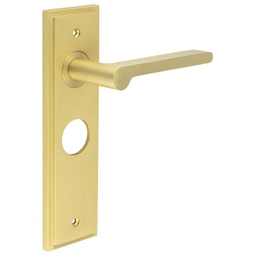 Satin Brass Bathroom Door Handle with Backplate Stylish Interiors Solid Brass Interior Handle