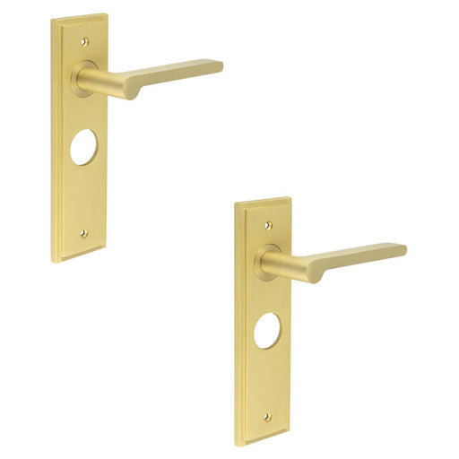 PACK Satin Brass Bathroom Door Handle with Backplate Stylish Interiors Solid Brass Interior Handle (1)