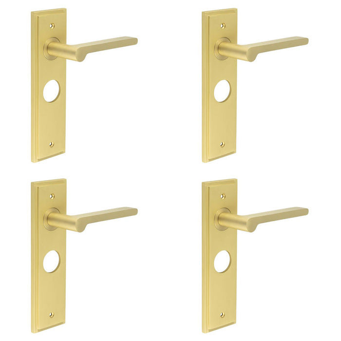 PACK Satin Brass Bathroom Door Handle with Backplate Stylish Interiors Solid Brass Interior Handle