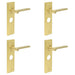 PACK Satin Brass Bathroom Door Handle with Backplate Stylish Interiors Solid Brass Interior Handle