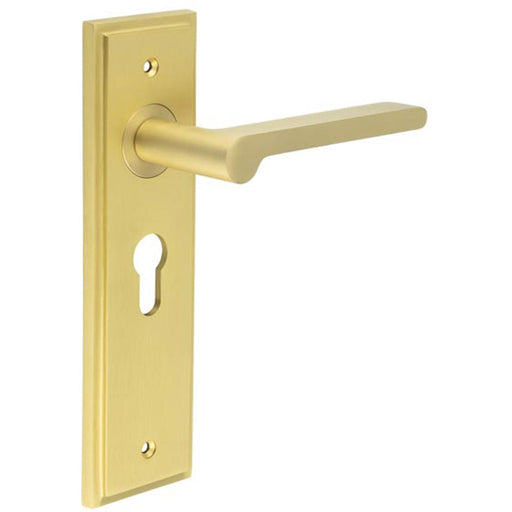 Elegant Satin Brass Euro Lock Door Handle with Backplate Solid Brass Interior Handle