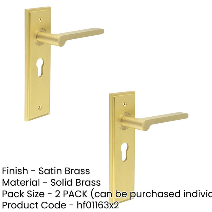 PACK Elegant Satin Brass Euro Lock Door Handle with Backplate Solid Brass Interior Handle (1)-1