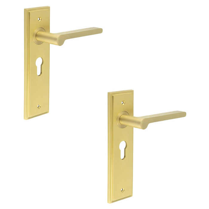 PACK Elegant Satin Brass Euro Lock Door Handle with Backplate Solid Brass Interior Handle (1)