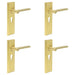 PACK Elegant Satin Brass Euro Lock Door Handle with Backplate Solid Brass Interior Handle