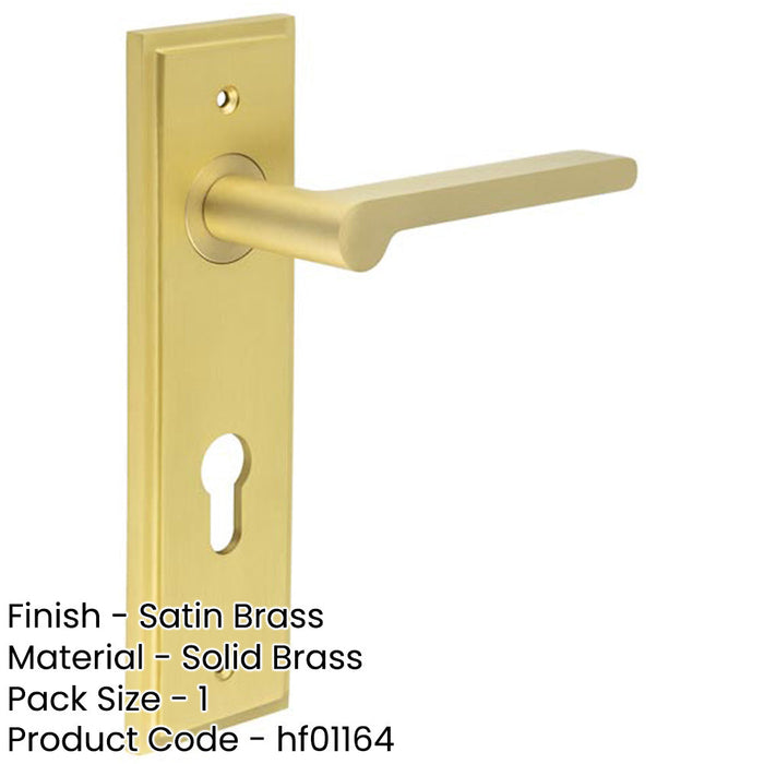 Elegant Satin Brass Euro Backplate Door Handle Stylish Interiors Solid Brass Interior Handle-1