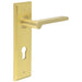 Elegant Satin Brass Euro Backplate Door Handle Stylish Interiors Solid Brass Interior Handle